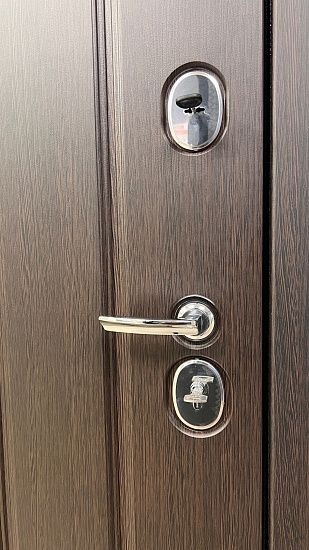 Входная дверь  