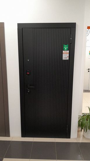 Входная дверь  